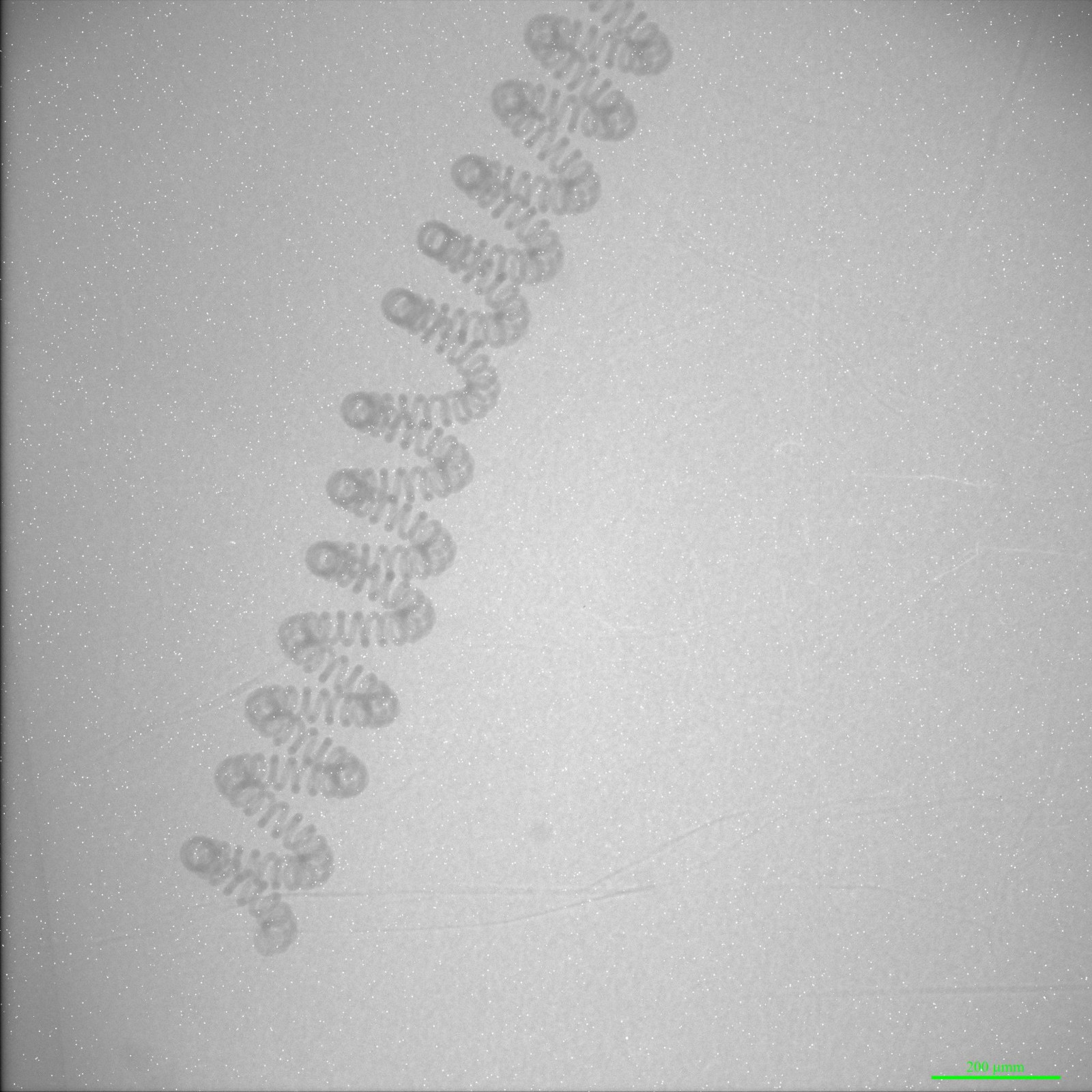 1596681500698276.jpg 1596681500698276.jpg