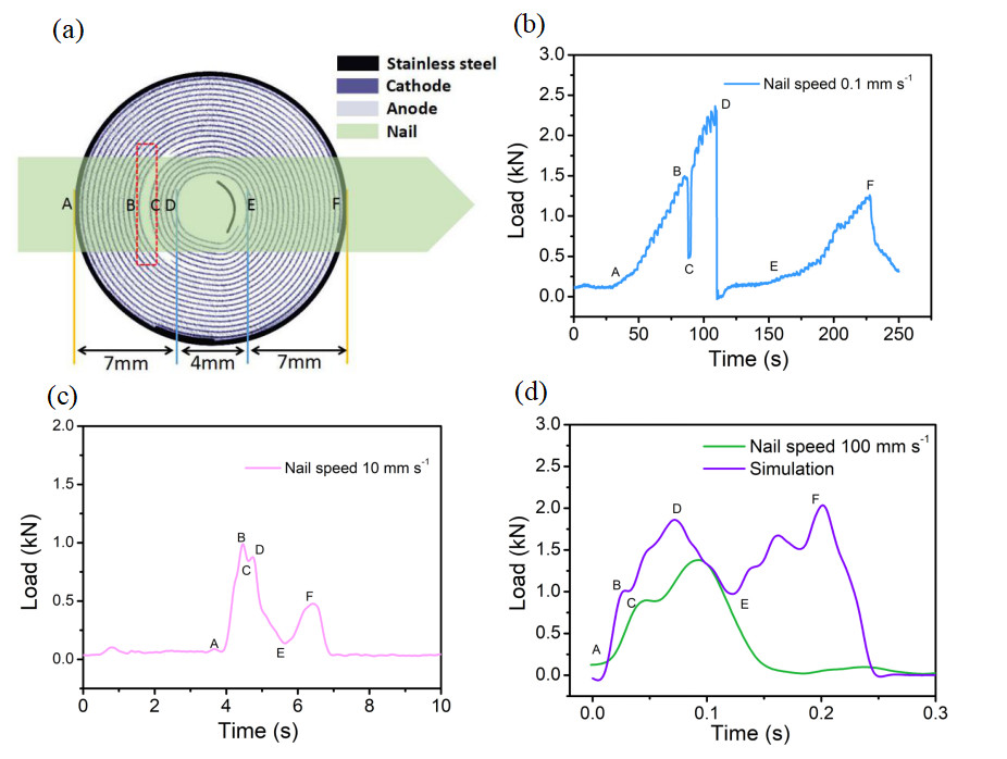 1617256825111938.jpg 鋰電池333.jpg
